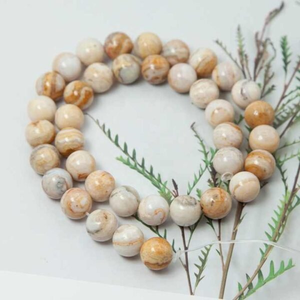 Crazy Lace Agate - Image 5